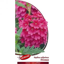 Семена Агрони Вербена гибридная РОЗОВАЯ 5909 