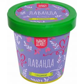 Подарочный набор для выращивания растений Вырасти,Дерево! Лаванда zk-116 