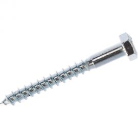 Сантехнический шуруп с ШГ ЕВРОПАРТНЕР DIN 571 Zn 8х70 2шт. 5 0949 1 