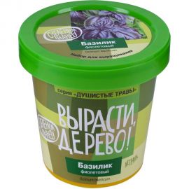 Набор для выращивания растений Вырасти,Дерево! Базилик фиолетовый zk-123 