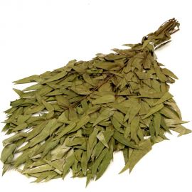 Эвкалиптовый веник Банная линия 10-666 