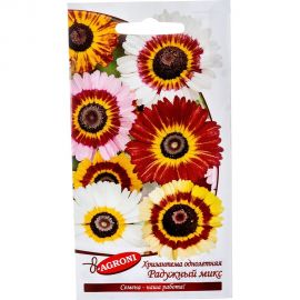 Семена Агрони Хризантема РАДУЖНЫЙ МИКС 2915 