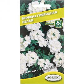 Семена Агрони Вербена гибридная БЕЛАЯ 5893 
