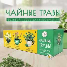 Набор для выращивания растений Plant Republic Чайные травы pr-021 