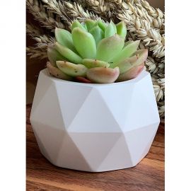 Кашпо для цветов VILLERMO РОМБ 3.0 G_050 
