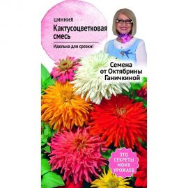 Семена ОКТЯБРИНА ГАНИЧКИНА Цинния Кактусоцветковая смесь 0.3 г 119078 