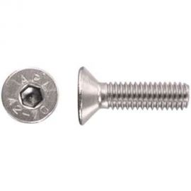 Винт DINFIX 7991, а2 нерж., 6x20, 2 шт. 00-00002829 