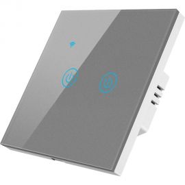Сенсорный двухкнопочный умный выключатель Roximo серый SWSEN01-2S 