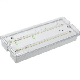 Аварийный светильник IEK ДПА 5042-1, 1 час, универсальный, IP65 LDPA0-5042-1-65-K01 