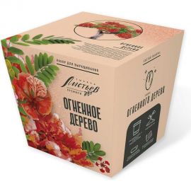 Набор для выращивания растений Тысяча листьев Премиум огненное дерево tl-037 