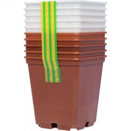 Набор горшков для рассады Ангора 10 шт., по 0.25 л, микс А5513микс 