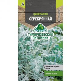Семена Тимирязевский Питомник цветы цинерария Серебрянная 0.05 г Of000120511 