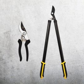 Набор сучкорез+секатор DELI DL580002 сталь 55С 98494 