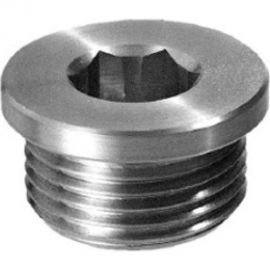 Цилиндрическая пробка с буртом ЦКИ DIN 908, М20x1.5, Б/П, 5 шт. 37578 