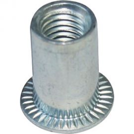 Заклепка-гайка ЦКИ М6, плоск., рифл., Ст. Ц, BRALO, уп. 50 шт. 64529 