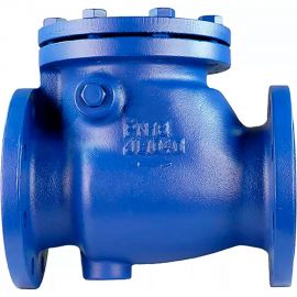 Поворотный обратный клапан DN.ru 302a ду50 ру16 фланцевый, чугунный D100-02362 