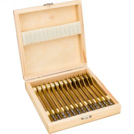 Набор перовых сверл по дереву 6-8-10-12-13-14-16-18-19-20-22-24-25 мм, 13 шт Gigant Gpd-13 