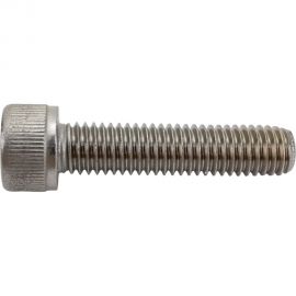 Винт ЦКИ DIN912 М8х35 нерж. A2 100 шт 58813 