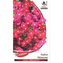 Семена Агрони Вербена гибридная МАЖЕНТА 65879 