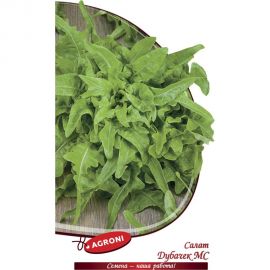 Семена Агрони Салат Дубачек МС 0.5 г 4490 