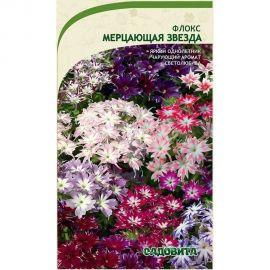 Семена Садовита Флокс Мерцающая звезда 0.2 г 00222869 