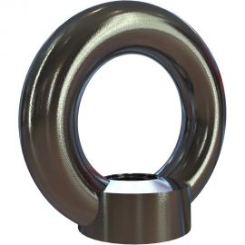 Подъемная рым гайка для подъема по оси гайки CERTEX DIN582 NS08M 