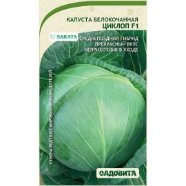 Семена Садовита Капуста белокочанная Циклоп F1 10 шт. Sakata 00216403 