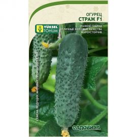 Семена Садовита Огурец Страж F1 5 шт. Yuksel Tohum 00216537 