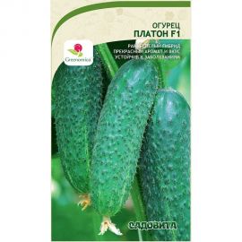 Семена Садовита Огурец Платон F1 5 шт. Greenomica 00216533 