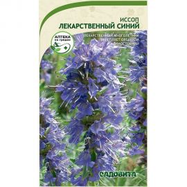 Семена Садовита Иссоп Лекарственный Синий 0.1 г 00222511 