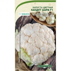 Семена Садовита Капуста цветная Кандит Шарм F1 10 шт. Sakata 00216421 