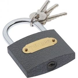 Навесной замок ТУНДРА ZN1063 63 мм 4594966 