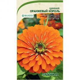 Семена Садовита Циния Оранжевый король 0.3 г 00208031 