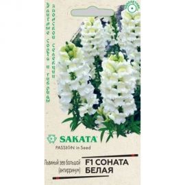 Антирринум ГАВРИШ (Львиный зев) Соната белая 7 шт, Саката серия Элитная клумба 1071856910 