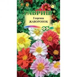 Семена ГАВРИШ Георгина Жаворонок, смесь 0.3 г 10006454 