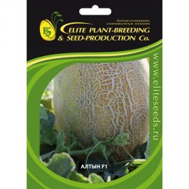 Алтын F1 семена дыни 20 шт ЭС мини ELITE PLANT-BREEDING & SEED PRODUCTION Co. 1999945129 