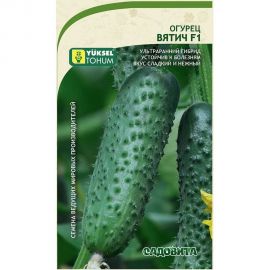 Семена Садовита Огурец Вятич F1 5 шт. Yuksel Tohum 00216528 