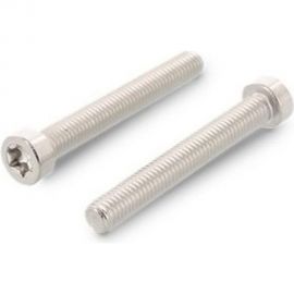 Винт ЦКИ ISO14579 М6x14 A2 TX30 25 шт. 48781 