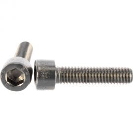 Винт ЦКИ DIN912 М6х25 нерж. A2 200 шт 58803 