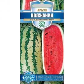 Семена ГАВРИШ Арбуз Волжанин Русский богатырь 1 г 1999943516 