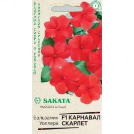 Семена ГАВРИШ Бальзамин Карнавал Скарлет Уоллера 4 шт Саката серия Элитная клумба 1071856803 