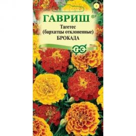 Семена ГАВРИШ Бархатцы отклоненные, Брокада, смесь (Тагетес) 0,3 г 1026999420 