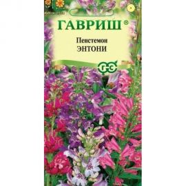 Семена ГАВРИШ Пенстемон гибридный Энтони, смесь 0,1 г 19102070 