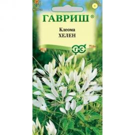 Семена ГАВРИШ Клеома Хелен, белая 0,2 г 1071858790 