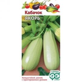 Кабачок ГАВРИШ Якорь 2 г 10006272 