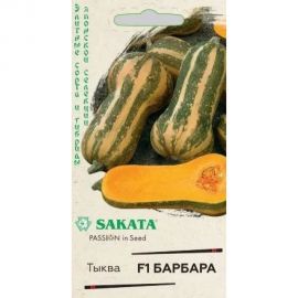 Тыква ГАВРИШ Барбара, мускатная 5 шт.Саката 1912236347 