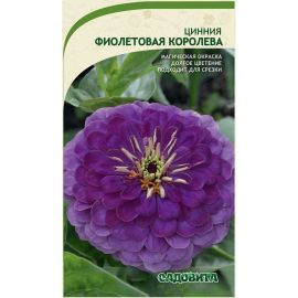 Семена Садовита Циния Фиолетовая королева 0.4 г 00222872 