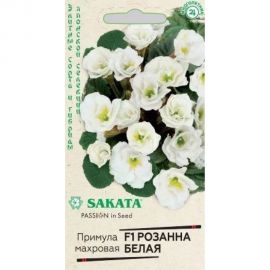 Семена ГАВРИШ Примула Розанна белая махровая, 4 шт., Саката, серия Эксклюзив 1100554 