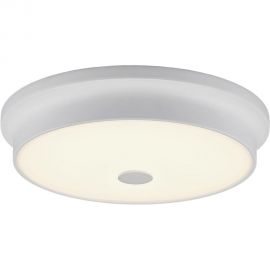 Настенно-потолочный светильник Citilux Фостер-2, белый CL706230 