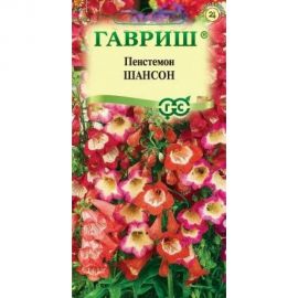 Пенстемон ГАВРИШ Хартвига Шансон наперстянковый, 0,1 г 19101997 